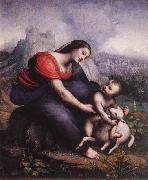 Cesare da Sesto Madonna and Child with the Lamb of God USA oil painting artist
